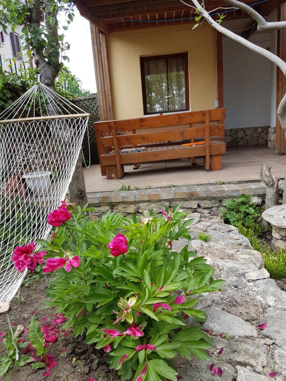 Hotel Casa Nikita Vama Veche Zewnętrze zdjęcie