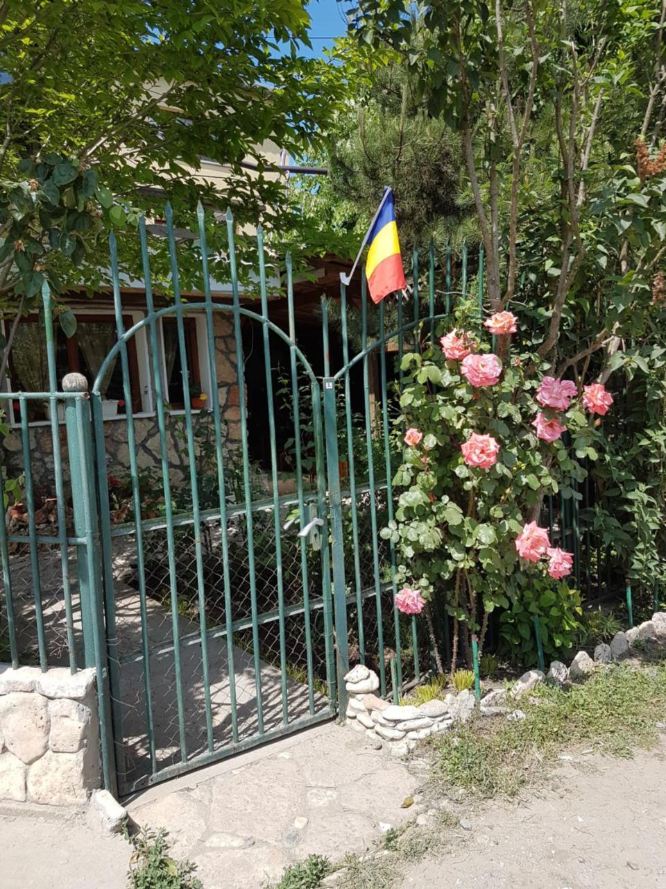 Hotel Casa Nikita Vama Veche Zewnętrze zdjęcie